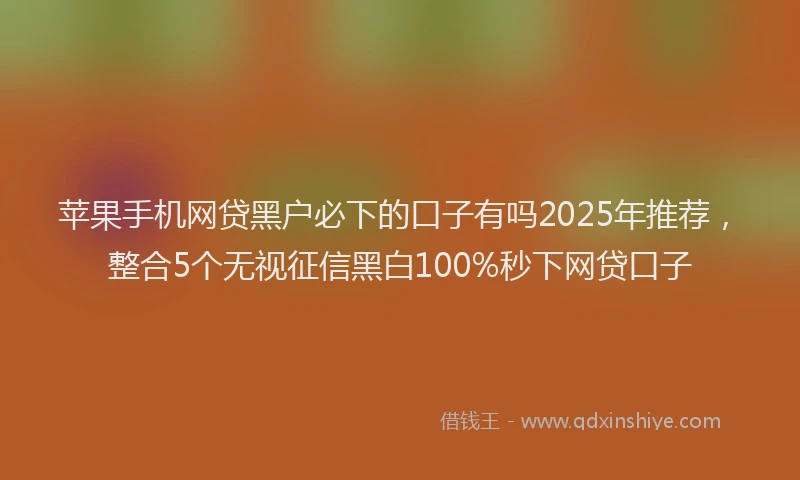 苹果手机网贷黑户必下的口子有吗2025年推荐，整合5个无视征信黑白100%秒下网贷口子