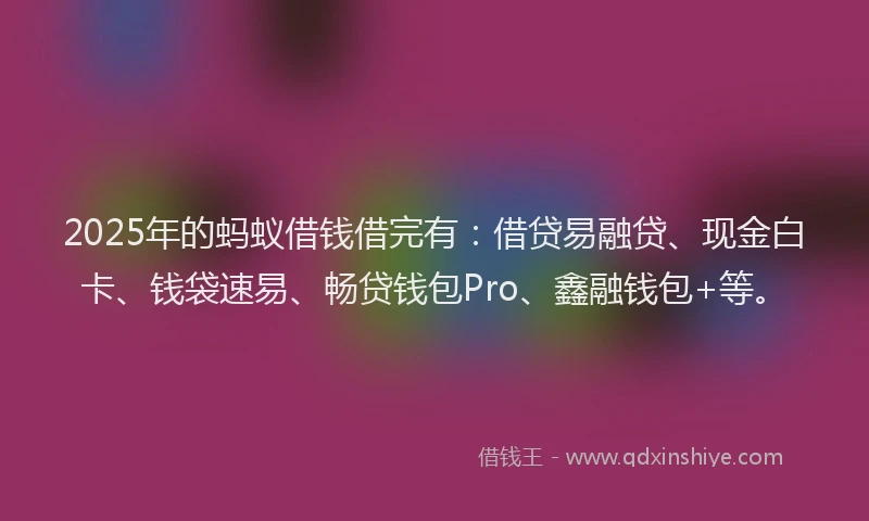 2025年的蚂蚁借钱借完有：借贷易融贷、现金白卡、钱袋速易、畅贷钱包Pro、鑫融钱包+等。