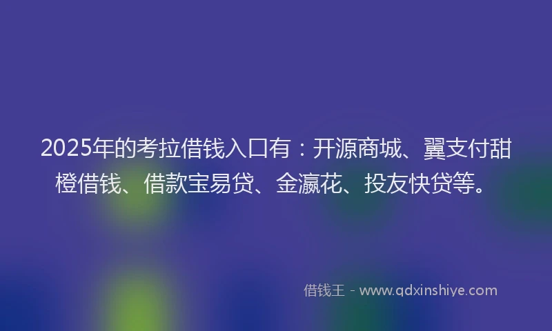 2025年的考拉借钱入口有：开源商城、翼支付甜橙借钱、借款宝易贷、金瀛花、投友快贷等。