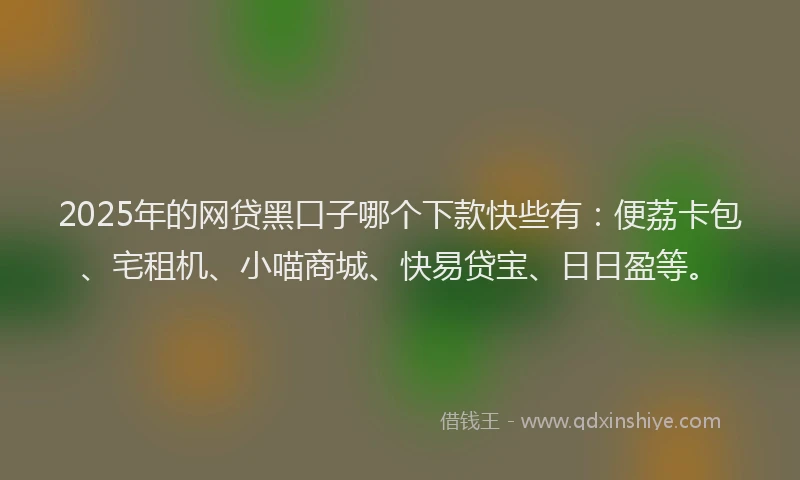 2025年的网贷黑口子哪个下款快些有：便荔卡包、宅租机、小喵商城、快易贷宝、日日盈等。