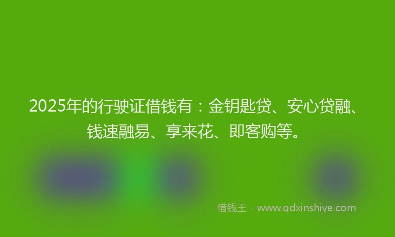 2025年的行驶证借钱有：金钥匙贷、安心贷融、钱速融易、享来花、即客购等。