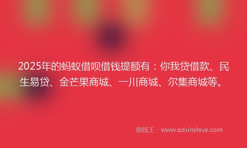 2025年的蚂蚁借呗借钱提额有：你我贷借款、民生易贷、金芒果商城、一川商城、尔集商城等。