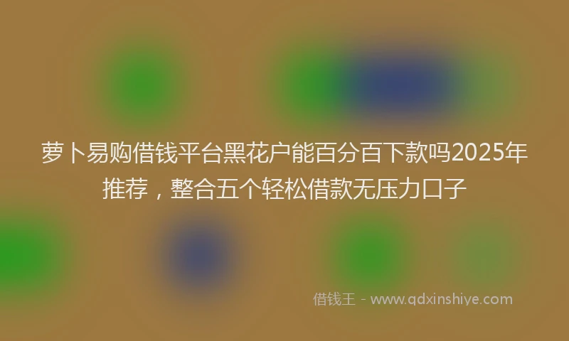 萝卜易购借钱平台黑花户能百分百下款吗2025年推荐，整合五个轻松借款无压力口子