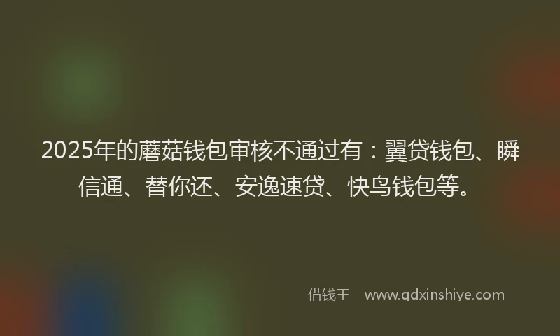 2025年的蘑菇钱包审核不通过有：翼贷钱包、瞬信通、替你还、安逸速贷、快鸟钱包等。