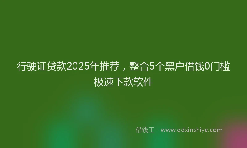 行驶证贷款2025年推荐，整合5个黑户借钱0门槛极速下款软件