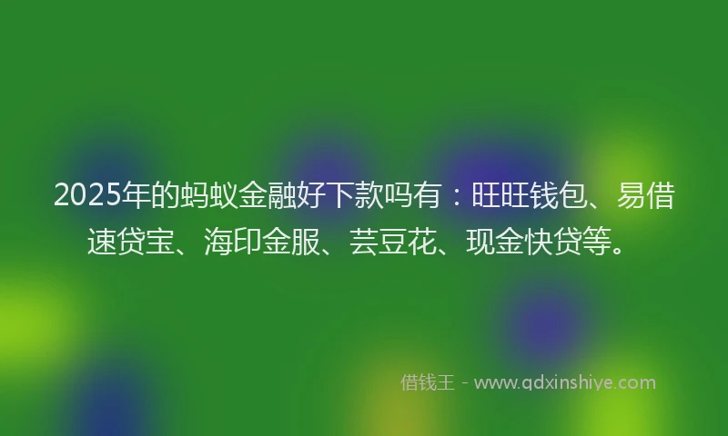 2025年的蚂蚁金融好下款吗有：旺旺钱包、易借速贷宝、海印金服、芸豆花、现金快贷等。