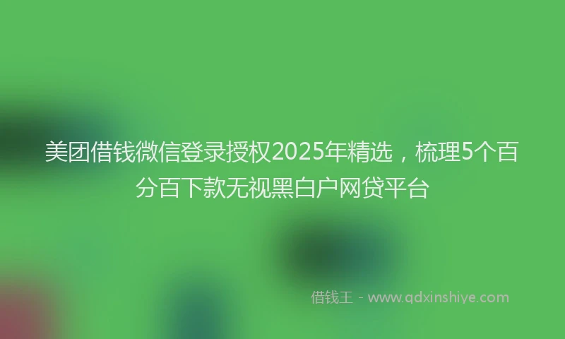 美团借钱微信登录授权2025年精选，梳理5个百分百下款无视黑白户网贷平台