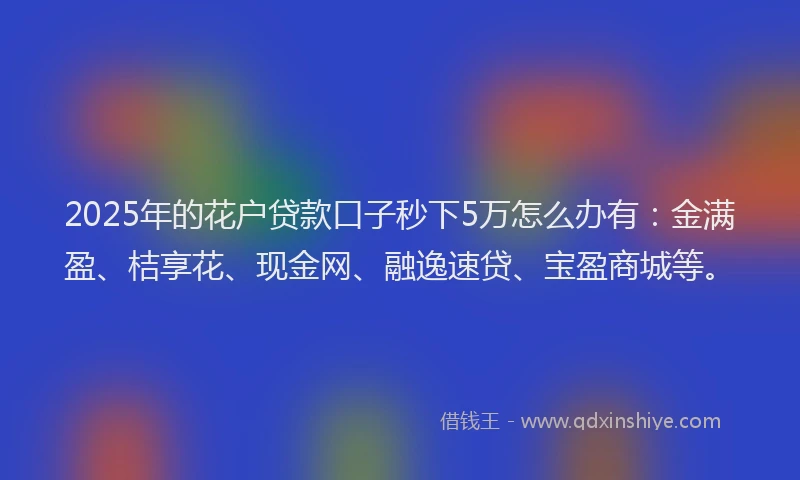 2025年的花户贷款口子秒下5万怎么办有：金满盈、桔享花、现金网、融逸速贷、宝盈商城等。