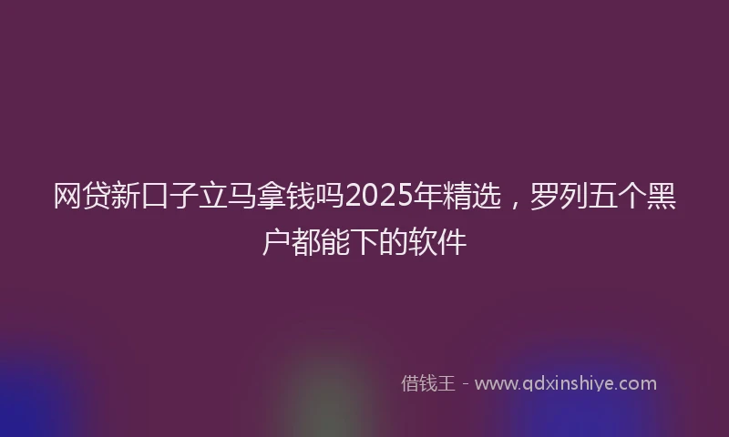 网贷新口子立马拿钱吗2025年精选，罗列五个黑户都能下的软件