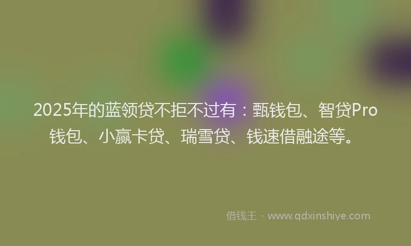 2025年的蓝领贷不拒不过有：甄钱包、智贷Pro钱包、小赢卡贷、瑞雪贷、钱速借融途等。