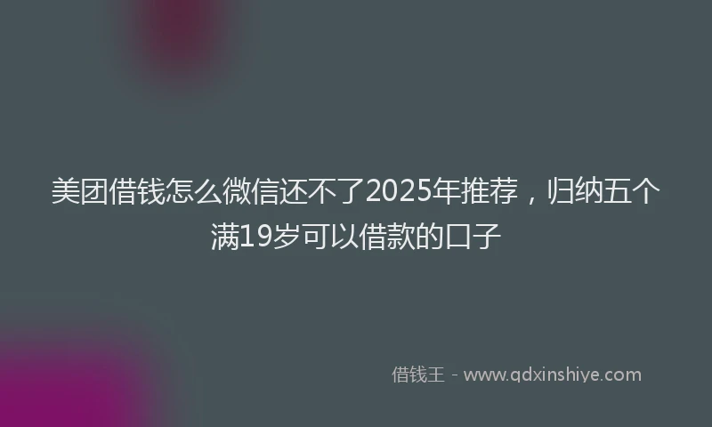 美团借钱怎么微信还不了2025年推荐，归纳五个满19岁可以借款的口子