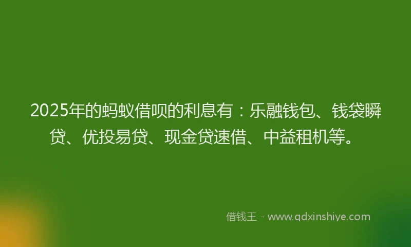 2025年的蚂蚁借呗的利息有：乐融钱包、钱袋瞬贷、优投易贷、现金贷速借、中益租机等。
