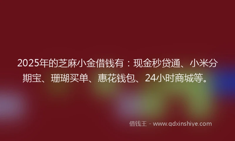 2025年的芝麻小金借钱有：现金秒贷通、小米分期宝、珊瑚买单、惠花钱包、24小时商城等。