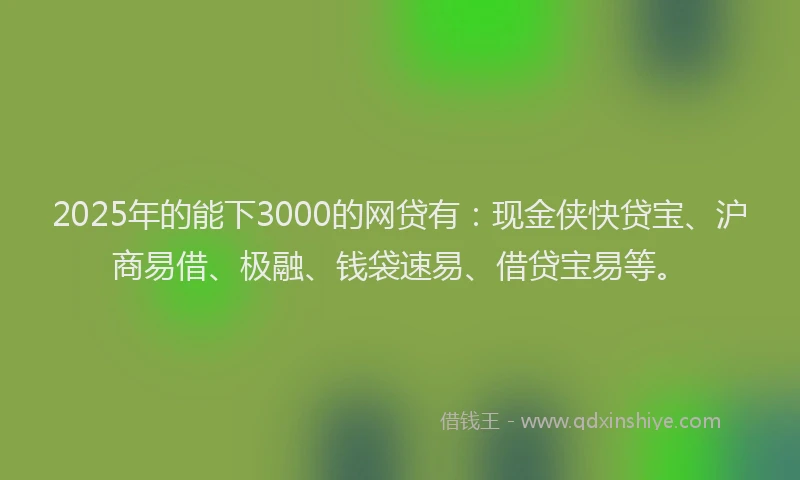 2025年的能下3000的网贷有：现金侠快贷宝、沪商易借、极融、钱袋速易、借贷宝易等。