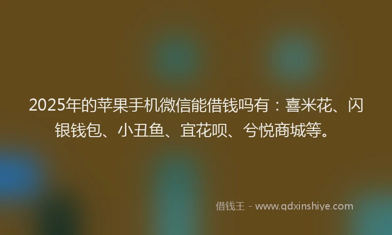 2025年的苹果手机微信能借钱吗有：喜米花、闪银钱包、小丑鱼、宜花呗、兮悦商城等。