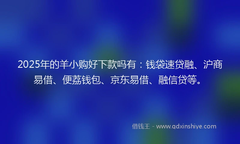 2025年的羊小购好下款吗有：钱袋速贷融、沪商易借、便荔钱包、京东易借、融信贷等。