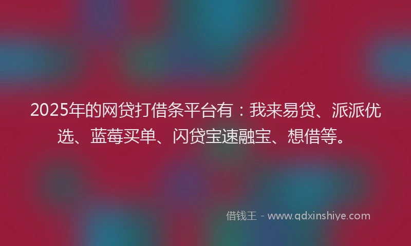 2025年的网贷打借条平台有：我来易贷、派派优选、蓝莓买单、闪贷宝速融宝、想借等。