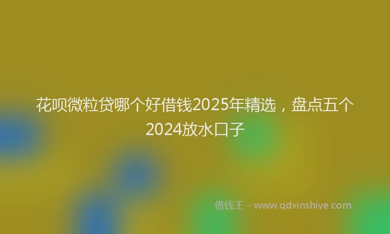 花呗微粒贷哪个好借钱2025年精选，盘点五个2024放水口子