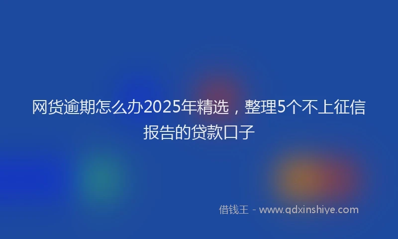 网货逾期怎么办2025年精选，整理5个不上征信报告的贷款口子