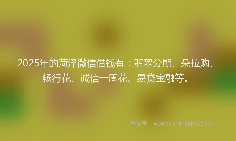 2025年的菏泽微信借钱有：翡翠分期、朵拉购、畅行花、诚信一周花、易贷宝融等。