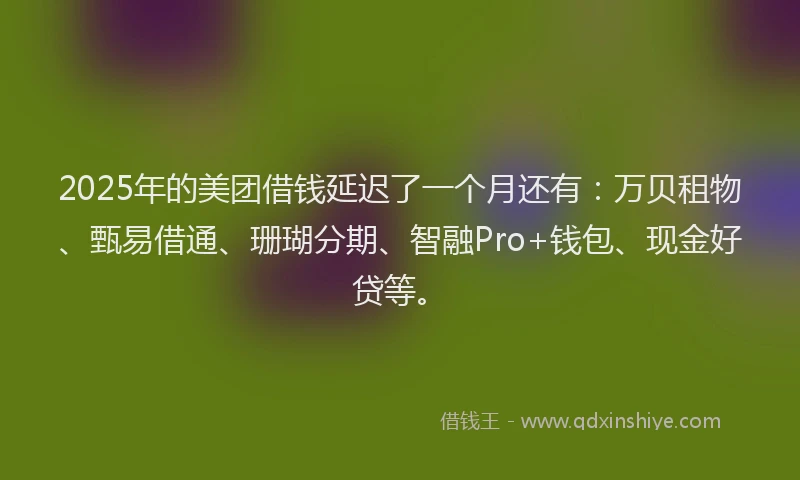 2025年的美团借钱延迟了一个月还有：万贝租物、甄易借通、珊瑚分期、智融Pro+钱包、现金好贷等。