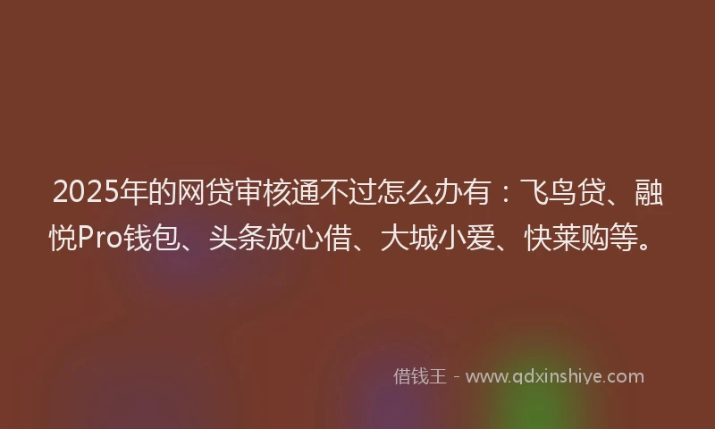 2025年的网贷审核通不过怎么办有：飞鸟贷、融悦Pro钱包、头条放心借、大城小爱、快莱购等。