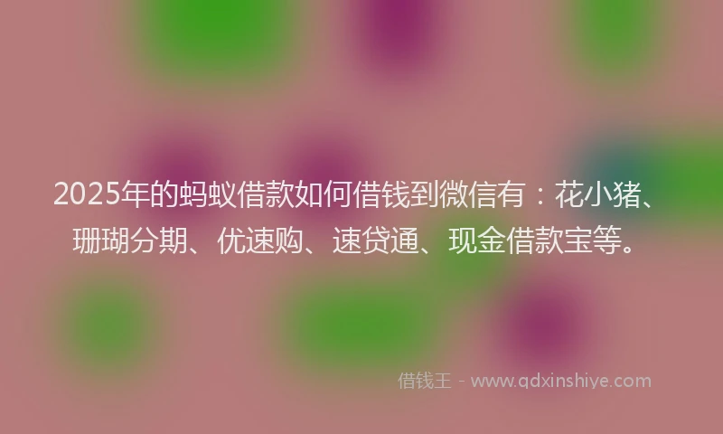 2025年的蚂蚁借款如何借钱到微信有：花小猪、珊瑚分期、优速购、速贷通、现金借款宝等。