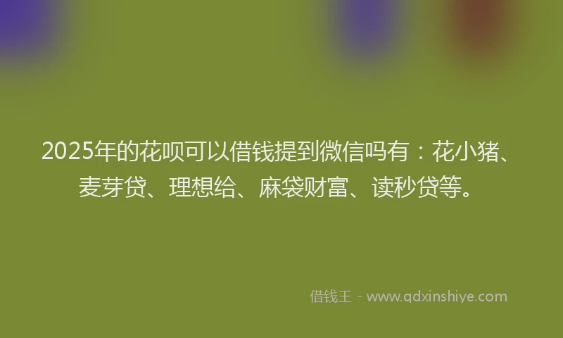2025年的花呗可以借钱提到微信吗有：花小猪、麦芽贷、理想给、麻袋财富、读秒贷等。