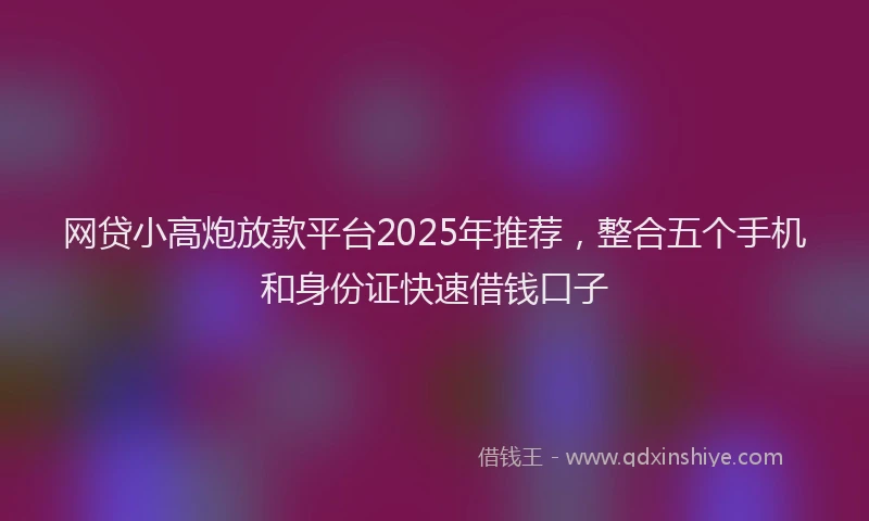 网贷小高炮放款平台2025年推荐，整合五个手机和身份证快速借钱口子