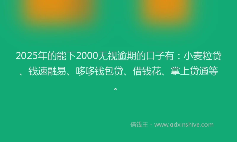 2025年的能下2000无视逾期的口子有：小麦粒贷、钱速融易、哆哆钱包贷、借钱花、掌上贷通等。