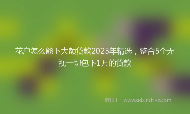 花户怎么能下大额贷款2025年精选，整合5个无视一切包下1万的贷款