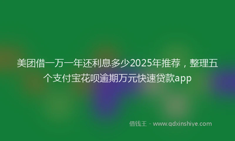 美团借一万一年还利息多少2025年推荐，整理五个支付宝花呗逾期万元快速贷款app