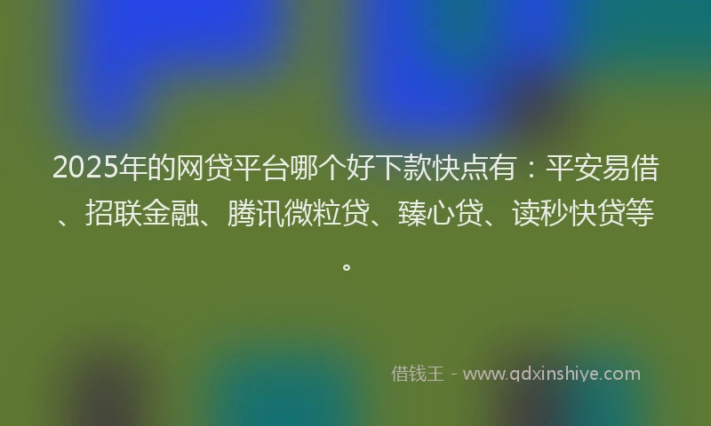 2025年的网贷平台哪个好下款快点有：平安易借、招联金融、腾讯微粒贷、臻心贷、读秒快贷等。