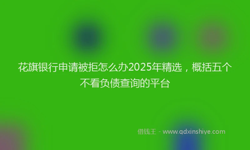 花旗银行申请被拒怎么办2025年精选，概括五个不看负债查询的平台