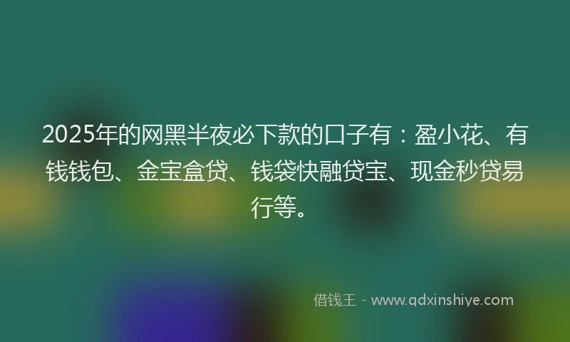 2025年的网黑半夜必下款的口子有：盈小花、有钱钱包、金宝盒贷、钱袋快融贷宝、现金秒贷易行等。