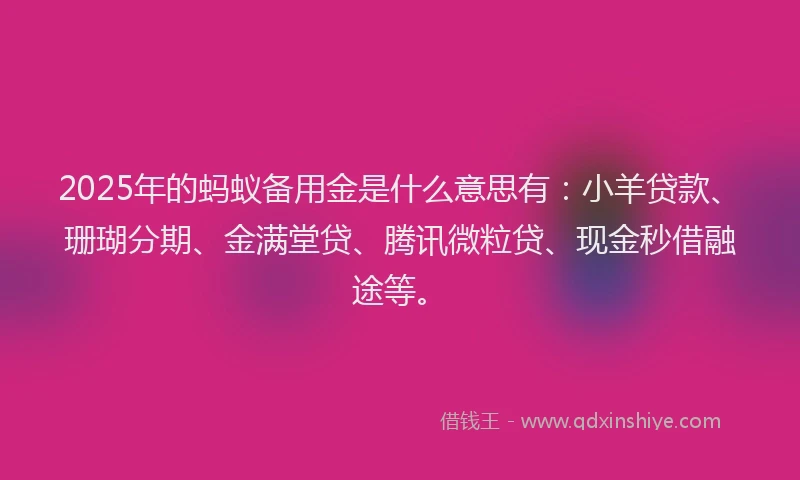2025年的蚂蚁备用金是什么意思有：小羊贷款、珊瑚分期、金满堂贷、腾讯微粒贷、现金秒借融途等。