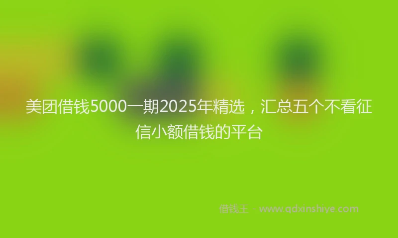 美团借钱5000一期2025年精选，汇总五个不看征信小额借钱的平台
