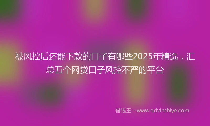 被风控后还能下款的口子有哪些2025年精选，汇总五个网贷口子风控不严的平台
