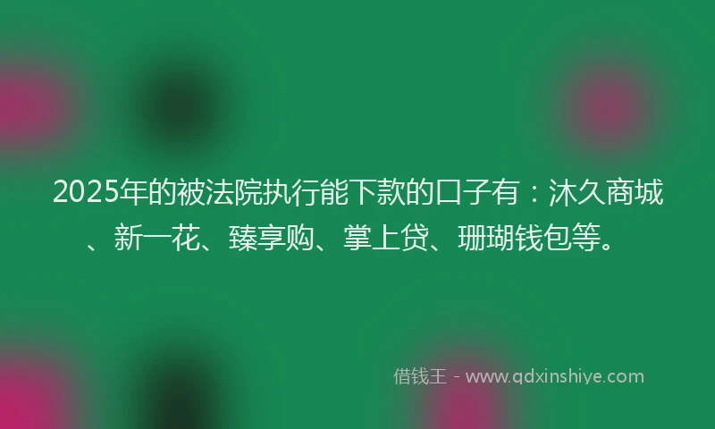 2025年的被法院执行能下款的口子有：沐久商城、新一花、臻享购、掌上贷、珊瑚钱包等。