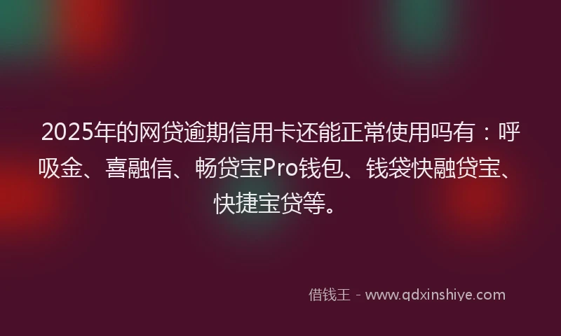 2025年的网贷逾期信用卡还能正常使用吗有：呼吸金、喜融信、畅贷宝Pro钱包、钱袋快融贷宝、快捷宝贷等。