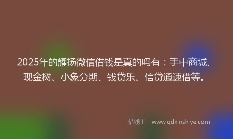 2025年的耀扬微信借钱是真的吗有：手中商城、现金树、小象分期、钱贷乐、信贷通速借等。