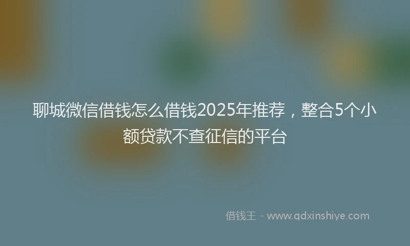 聊城微信借钱怎么借钱2025年推荐，整合5个小额贷款不查征信的平台