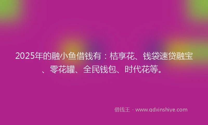 2025年的融小鱼借钱有：桔享花、钱袋速贷融宝、零花罐、全民钱包、时代花等。