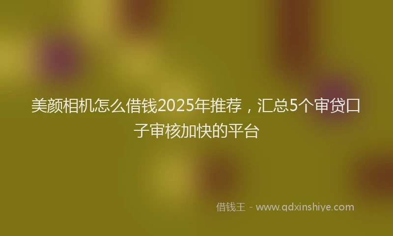 美颜相机怎么借钱2025年推荐，汇总5个审贷口子审核加快的平台