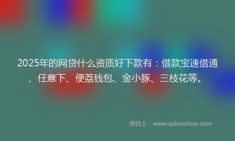 2025年的网贷什么资质好下款有：借款宝速借通、任意下、便荔钱包、金小豚、三枝花等。