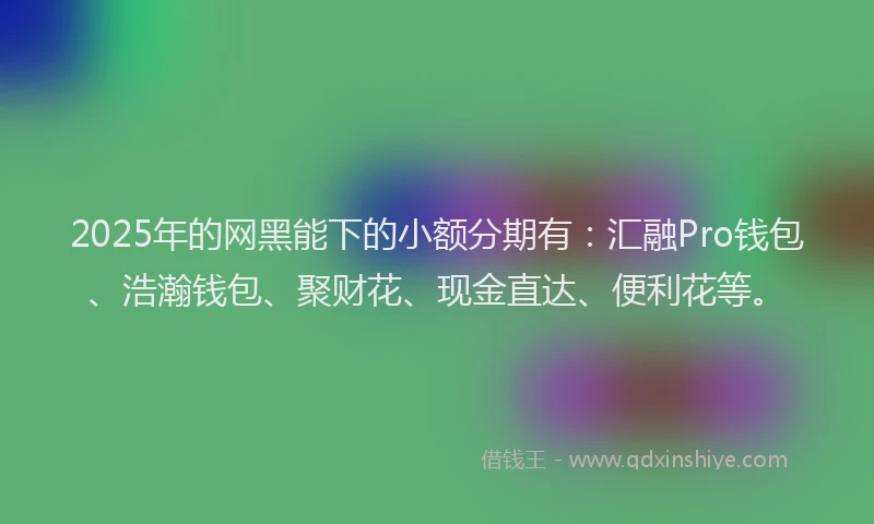 2025年的网黑能下的小额分期有：汇融Pro钱包、浩瀚钱包、聚财花、现金直达、便利花等。