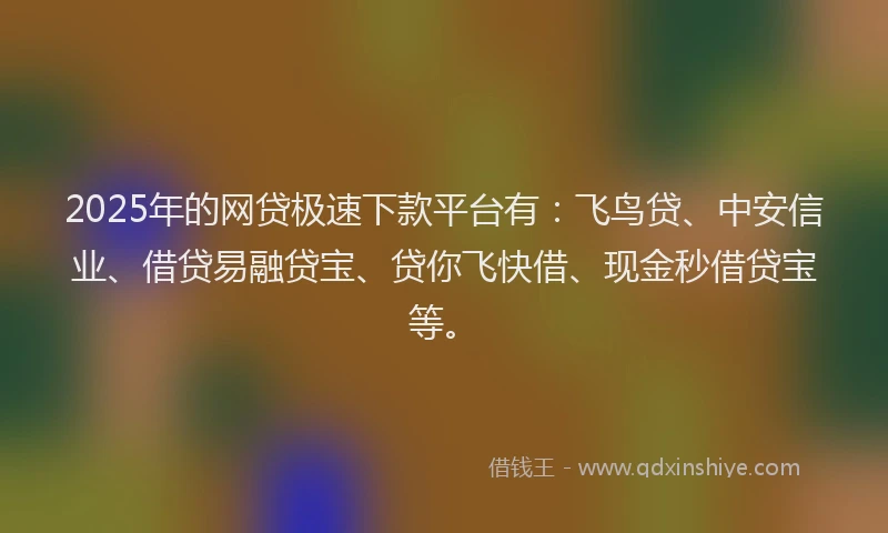 2025年的网贷极速下款平台有：飞鸟贷、中安信业、借贷易融贷宝、贷你飞快借、现金秒借贷宝等。
