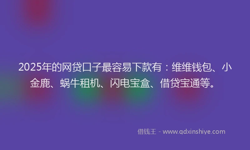 2025年的网贷口子最容易下款有：维维钱包、小金鹿、蜗牛租机、闪电宝盒、借贷宝通等。