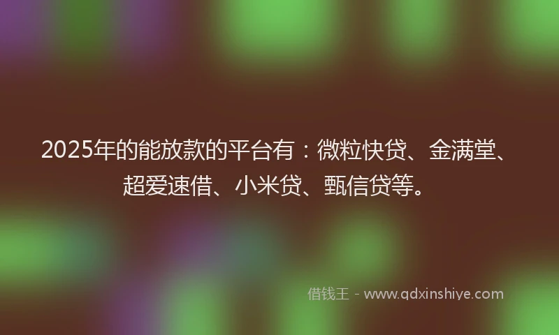 2025年的能放款的平台有：微粒快贷、金满堂、超爱速借、小米贷、甄信贷等。