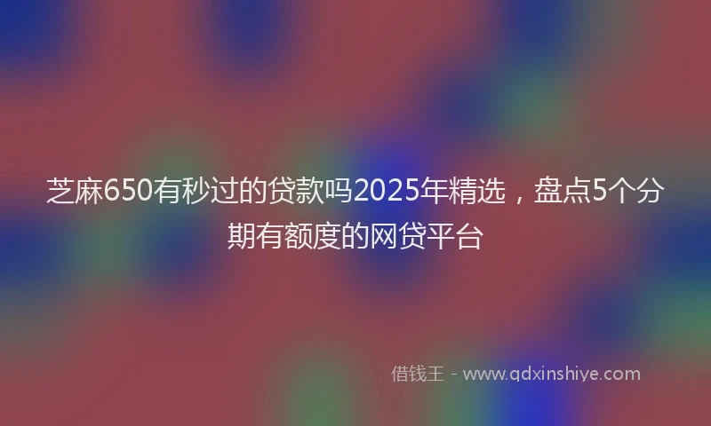 芝麻650有秒过的贷款吗2025年精选，盘点5个分期有额度的网贷平台